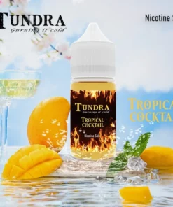 小煙-T牌-芒果-系列 TUNDRA T牌